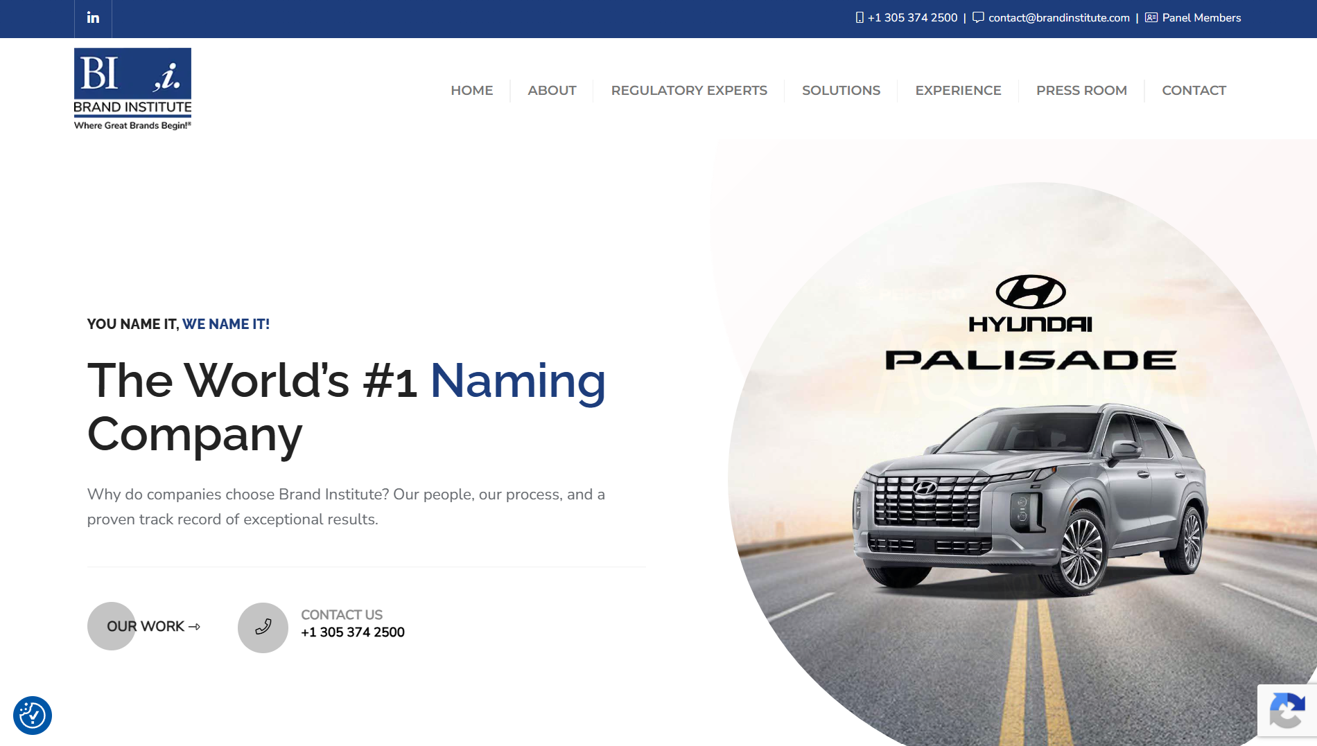 Brand Institute